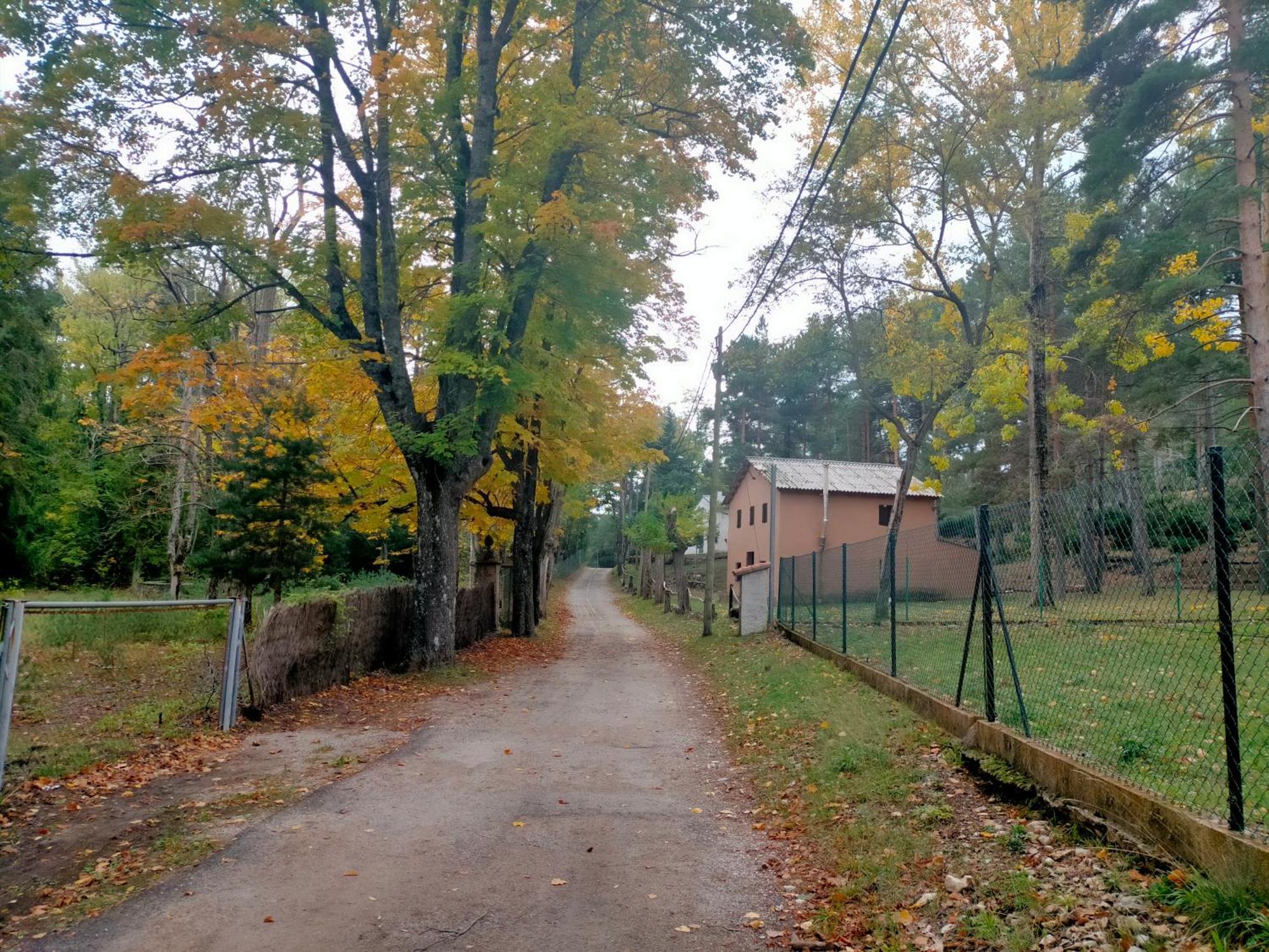 Casa Rural Tia Salome San Jorge  Экстерьер фото